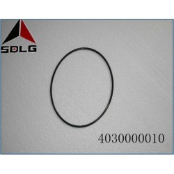 4030000010