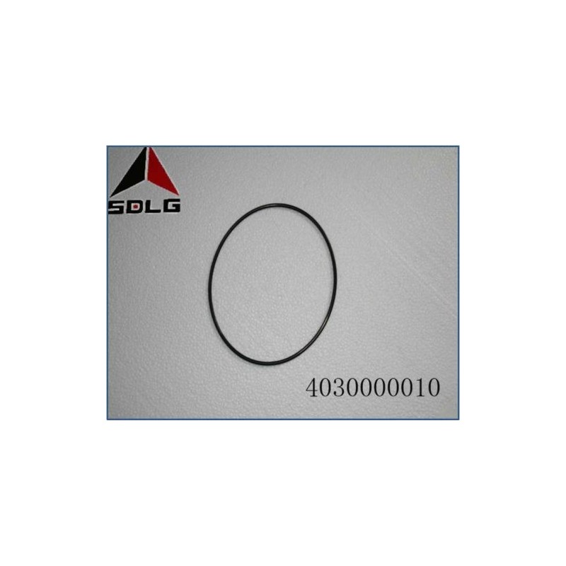4030000010