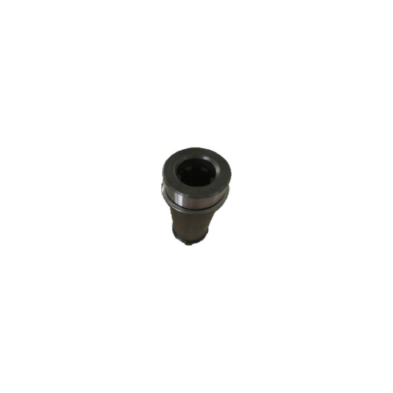 29050000081